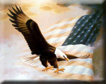 eagleFlag